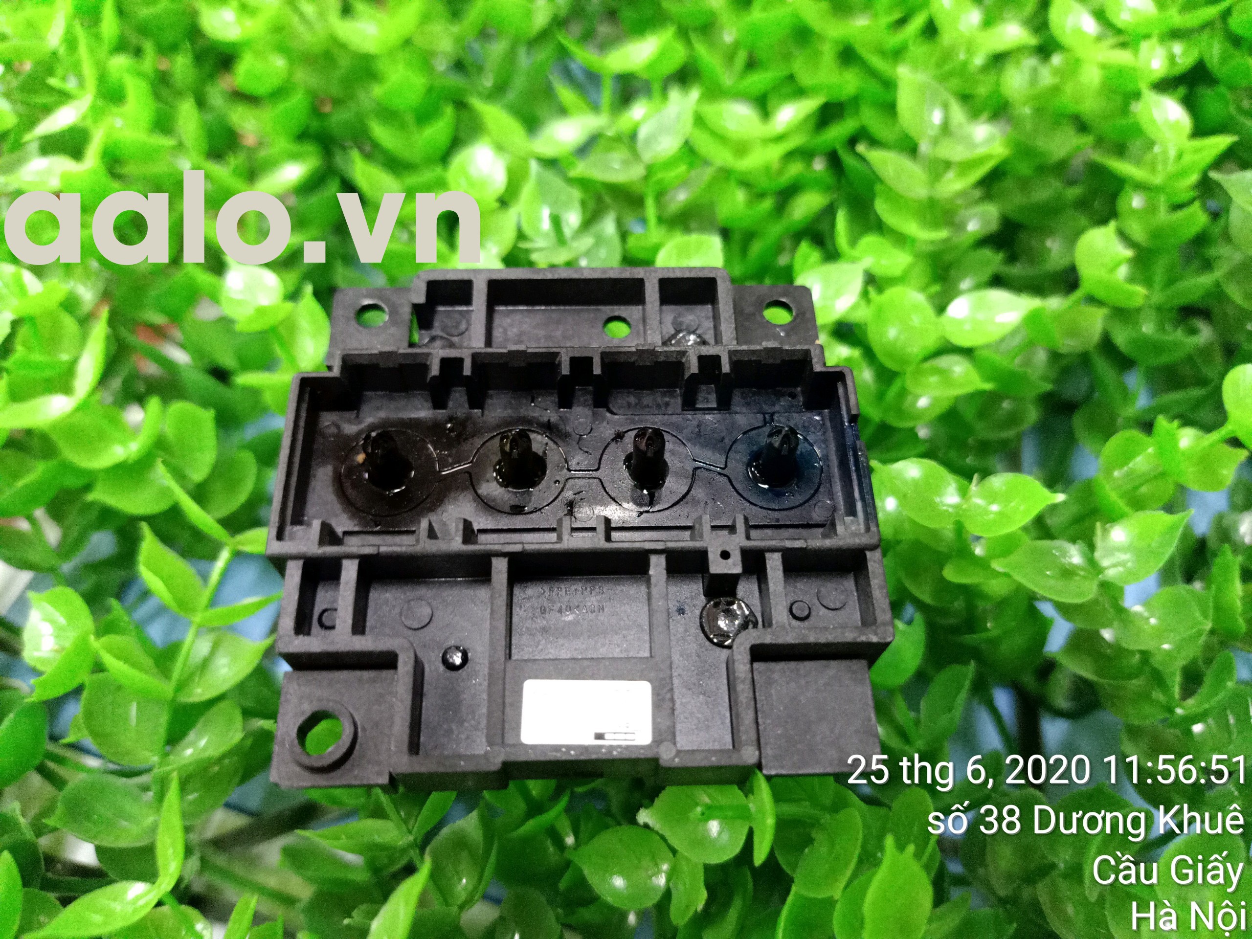Đầu phun Máy in phun màu Epson L300 L310 L110 - aalo.vn 